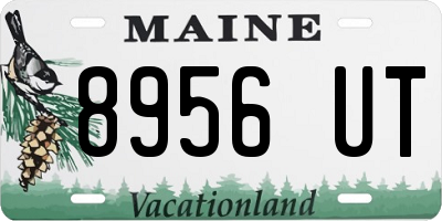 ME license plate 8956UT