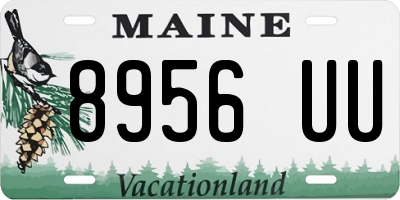 ME license plate 8956UU