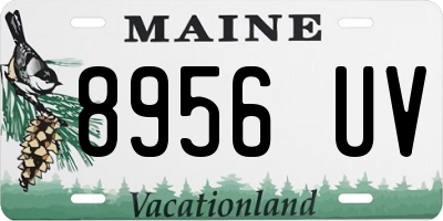 ME license plate 8956UV