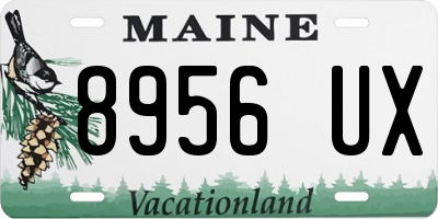 ME license plate 8956UX
