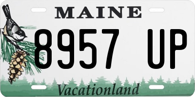 ME license plate 8957UP