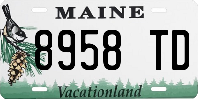 ME license plate 8958TD