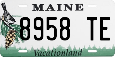 ME license plate 8958TE