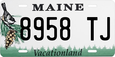 ME license plate 8958TJ