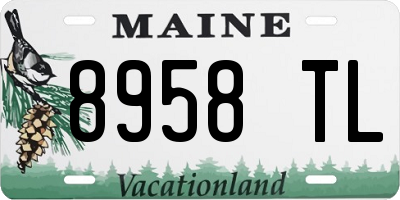 ME license plate 8958TL
