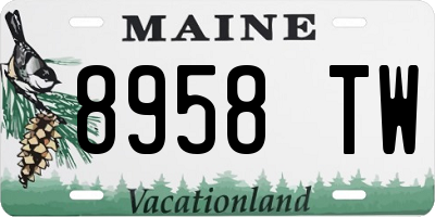 ME license plate 8958TW