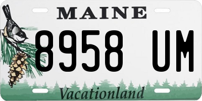 ME license plate 8958UM