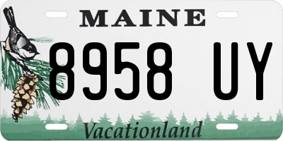 ME license plate 8958UY