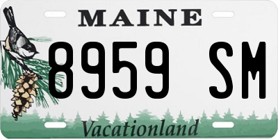 ME license plate 8959SM
