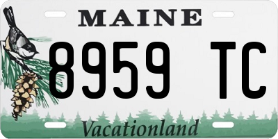 ME license plate 8959TC