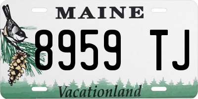 ME license plate 8959TJ