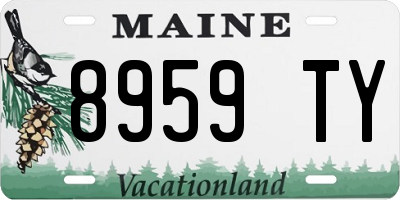 ME license plate 8959TY