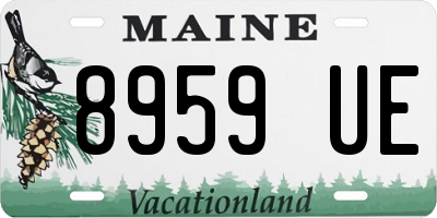 ME license plate 8959UE