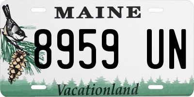 ME license plate 8959UN