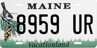 ME license plate 8959UR