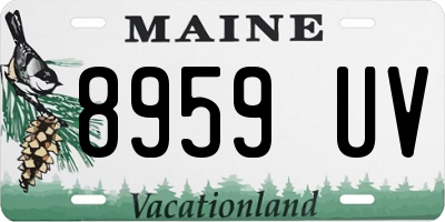 ME license plate 8959UV