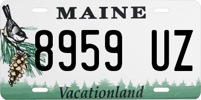 ME license plate 8959UZ