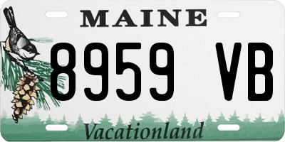 ME license plate 8959VB