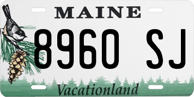 ME license plate 8960SJ