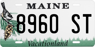 ME license plate 8960ST