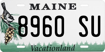 ME license plate 8960SU