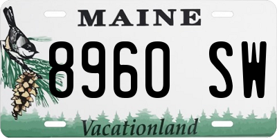 ME license plate 8960SW