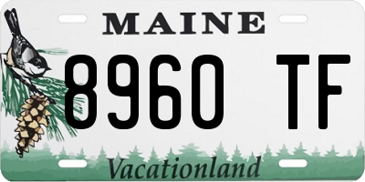 ME license plate 8960TF