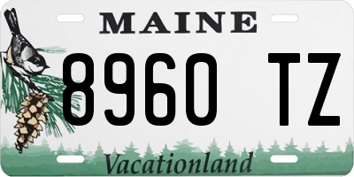 ME license plate 8960TZ