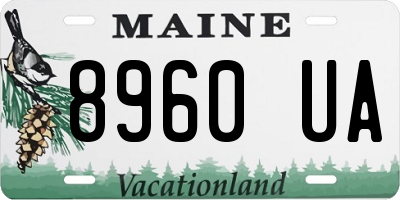 ME license plate 8960UA