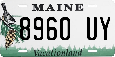 ME license plate 8960UY