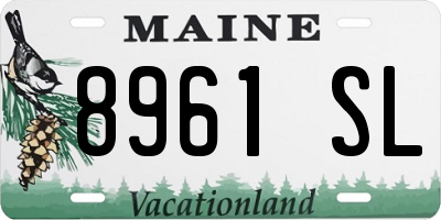 ME license plate 8961SL