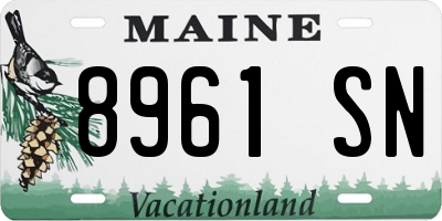 ME license plate 8961SN