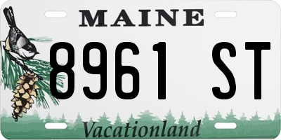 ME license plate 8961ST