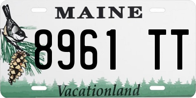 ME license plate 8961TT