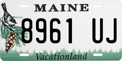 ME license plate 8961UJ