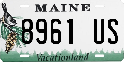 ME license plate 8961US