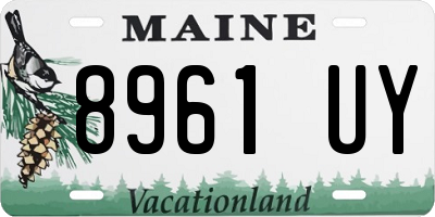 ME license plate 8961UY