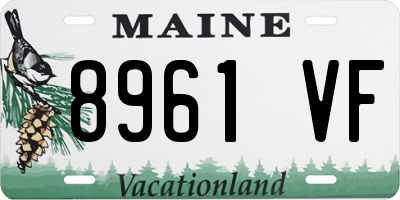 ME license plate 8961VF