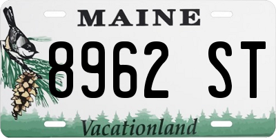 ME license plate 8962ST