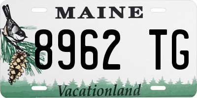ME license plate 8962TG