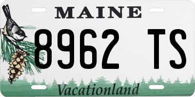 ME license plate 8962TS