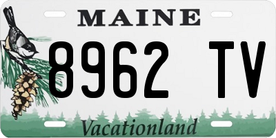 ME license plate 8962TV