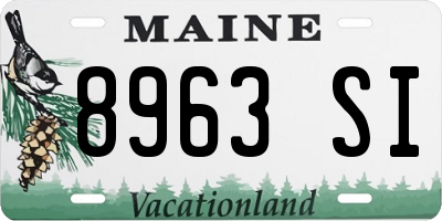 ME license plate 8963SI