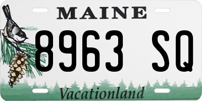 ME license plate 8963SQ