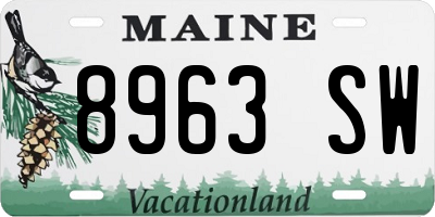 ME license plate 8963SW