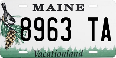 ME license plate 8963TA