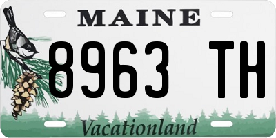ME license plate 8963TH