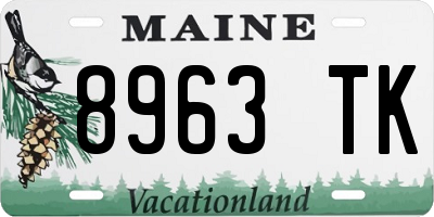 ME license plate 8963TK