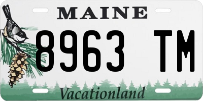 ME license plate 8963TM