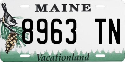 ME license plate 8963TN
